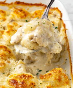 Easy Chicken Alfredo Ravioli Bake Recipe